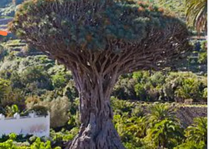 Vakantiehuis Casa Teide *