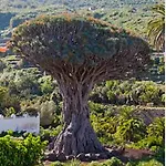 Prázdninový dům Casa Teide *