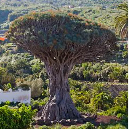 펜션 Casa Teide, Disfruta De El Atardecer En Tu Gran Terraza Privada *
